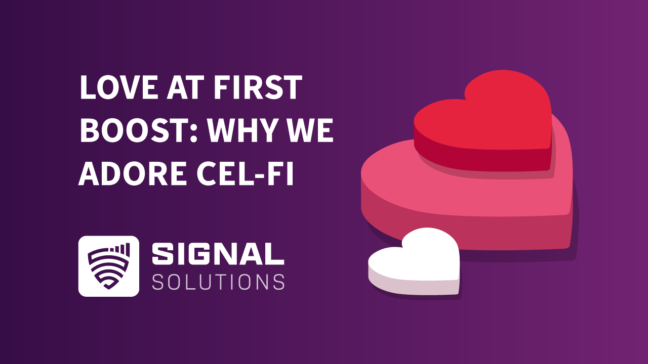 Why We Adore CEL-FI